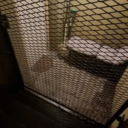 Big And Cozy In The Middle Of